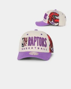 Mitchell & Ness Toronto Raptors '90s Training Camp' Pro Crown Snapback Cream