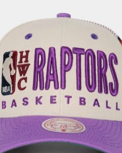 Mitchell & Ness Toronto Raptors '90s Training Camp' Pro Crown Snapback Cream -Mitchell & Ness Shop 01026626 YC600 default 0050