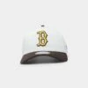 New Era Boston Red Sox 'Cereal' 9FORTY A-Frame Snapback Chrome White/Walnut -Mitchell & Ness Shop 196313140127 default 0010