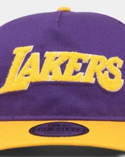 New Era Los Angeles Lakers 'Chenille' Golfer Snapback Purple -Mitchell & Ness Shop 196500152186 default 0050