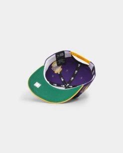 New Era Los Angeles Lakers 'Chenille' Golfer Snapback Purple -Mitchell & Ness Shop 196500152186 default 0060