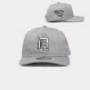 New Era Detroit Tigers 'Koala Grey' Old Golfer Snapback Grey/White