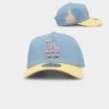 New Era Los Angeles Dodgers 'Easter Sky' 9FORTY A-Frame Snapback Pastel Blue -Mitchell & Ness Shop 197214871752 default 0010