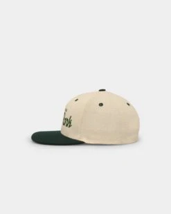 Hood Love Park Two Tone Snapback Forest/White -Mitchell & Ness Shop 850046754081 default 0040